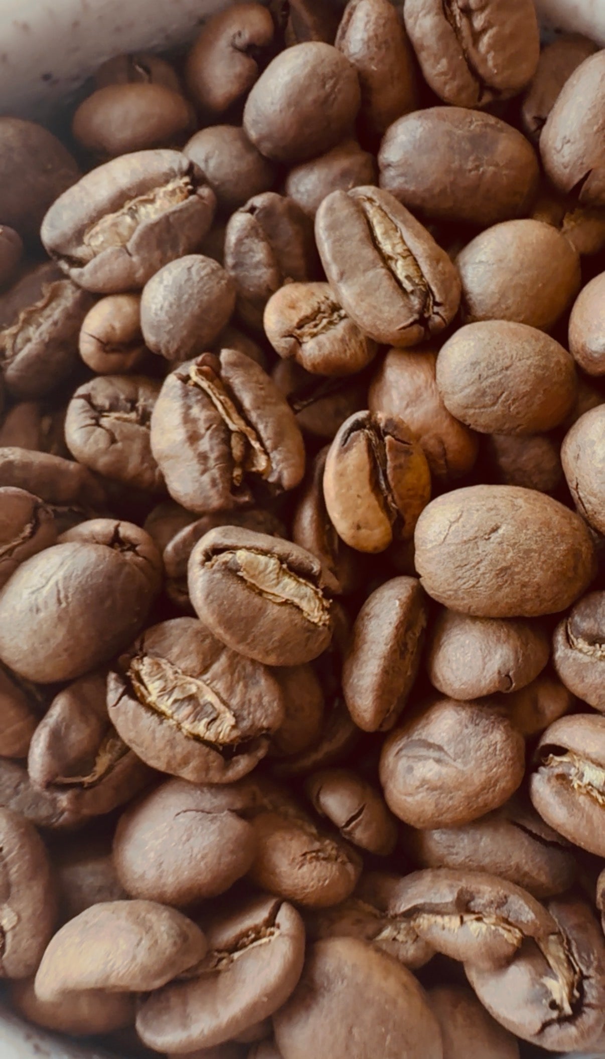 Café de Autor — Gesha · Medium-Light Roast · Washed
